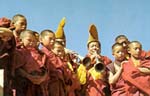 Buddist Monks