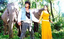 Shah Rukh Khan and Madhuri Dixit